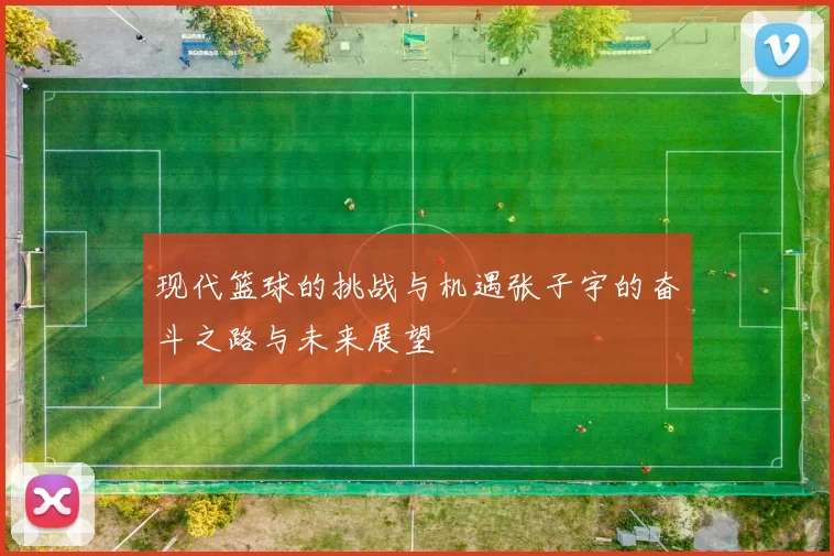 现代篮球的挑战与机遇张子宇的奋斗之路与未来展望