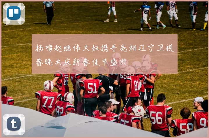 杨鸣赵继伟夫妇携手亮相辽宁卫视春晚共庆新春佳节盛典